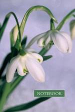Notebook: Snowdrop af Peony Press