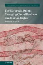 The European Union, Emerging Global Business and Human Rights af Aleydis Nissen