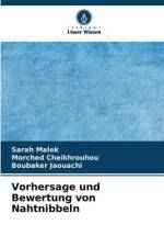Vorhersage und Bewertung von Nahtnibbeln af Sarah Malek