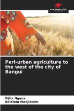 Peri-urban agriculture to the west of the city of Bangui af Félix Ngana