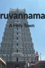 Tiruvannamalai: A Holy Town af S Nandan