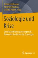 Soziologie und Krise af Nicole Holzhauser