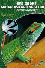 Der Große Madagaskar-Taggecko af Ingo Kober