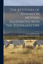 The Attitudes of Animals in Motion, Illustrated With the Zoopraxiscope af Eadweard Muybridge