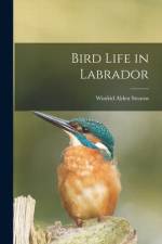 Bird Life in Labrador [microform] af Winfrid Alden Stearns