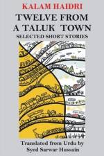 Twelve from a Taluk Town: Selected Short Stories af Kalam Haidri