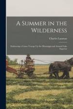 A Summer in the Wilderness: Embracing a Canoe Voyage Up the Mississippi and Around Lake Superior