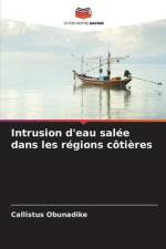 Intrusion d'eau salée dans les régions côtières af Callistus Obunadike