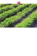 AGROINGENIUS af Helman Hernández Riaño