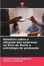 Relatório sobre a situação das empresas no Kivu do Norte e estratégia de promoção af Jackson Muhindo Mughanda