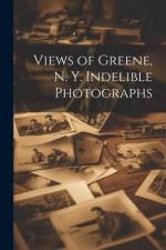 Views of Greene, N. Y. Indelible Photographs af Anonymous