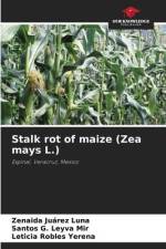 Stalk rot of maize (Zea mays L.) af Zenaida Juárez Luna