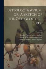 Osteologia Avium, or, A Sketch of the Osteology of Birds; v. 3 af J. Lithographer Erxleben