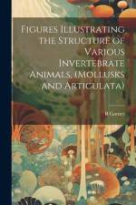 Figures Illustrating the Structure of Various Invertebrate Animals, (Mollusks and Articulata) af R. Garner