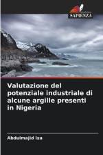 Valutazione del potenziale industriale di alcune argille presenti in Nigeria af Abdulmajid Isa