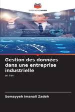 Gestion des données dans une entreprise industrielle af Somayyeh Imanali Zadeh