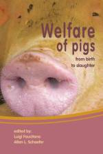 Welfare of Pigs: From Birth to Slaughter af Luigi Faucitano