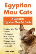 Egyptian Mau Cats: Egyptian Mau Cat Facts & Information, where to buy, health, diet, lifespan, types, breeding, care and more! A Complete af Lolly Brown