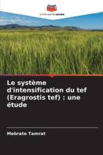 Le système d'intensification du tef (Eragrostis tef) : une étude af Mebrate Tamrat