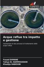 Acque reflue tra impatto e gestione af Fouad Dimane