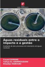Águas residuais entre o impacto e a gestão af Fouad Dimane