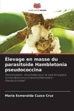 Élevage en masse du parasitoïde Hambletonia pseudococcina af María Esmeralda Cuzco Cruz