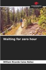 Waiting for zero hour af William Ricardo Caiza Núñez