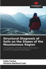 Structural Diagnosis of Soils on the Slopes of the Mountainous Region af Catia Farias