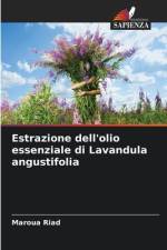 Estrazione dell'olio essenziale di Lavandula angustifolia af Maroua Riad