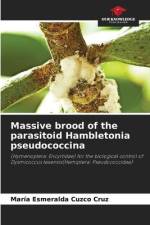 Massive brood of the parasitoid Hambletonia pseudococcina af María Esmeralda Cuzco Cruz