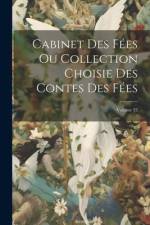 Cabinet Des Fées Ou Collection Choisie Des Contes Des Fées; Volume 33 af Anonymous
