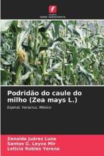 Podridão do caule do milho (Zea mays L.) af Zenaida Juárez Luna