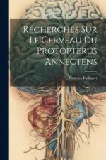 Recherches Sur Le Cerveau Du Protopterus Annectens af Georges Fulliquet