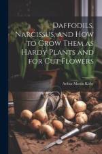 Daffodils, Narcissus, and how to Grow Them as Hardy Plants and for cut Flowers af Arthur Martin [From Old Kirby