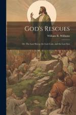 God's Rescues; or, The Lost Sheep, the Lost Coin, and the Lost Son af William R. Williams