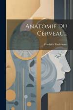 Anatomie Du Cerveau... af Friedrich Tiedemann