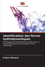 Identification des forces hydrodynamiques af Erdem Aktosun