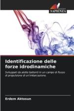 Identificazione delle forze idrodinamiche af Erdem Aktosun