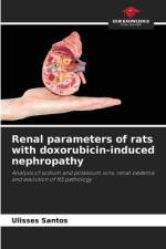 Renal parameters of rats with doxorubicin-induced nephropathy af Ulisses Santos
