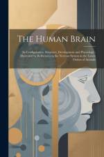 The Human Brain af Anonymous