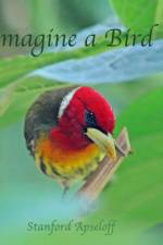 Imagine a Bird af Stanford Apseloff