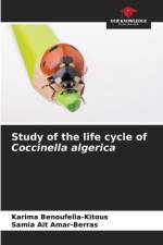 Study of the life cycle of Coccinella algerica af Karima Benoufella-Kitous