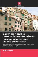 Contribuir para o desenvolvimento urbano harmonioso de uma cidade secundária af Bobys Mbe