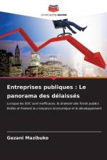 Entreprises publiques : Le panorama des délaissés af Gezani Mazibuko