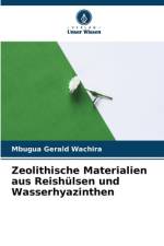 Zeolithische Materialien aus Reishülsen und Wasserhyazinthen af Mbugua Gerald Wachira