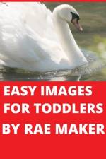 Easy Images for Toddlers af Launa Rae Ferguson