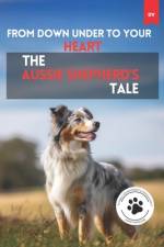 From Down Under To Your Heart The Aussie Shepherd's Tale af Deny ViviÃ¡