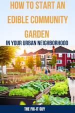 How to Start an Edible Community Garden in Your Urban Neighborhood af The Fix-It Guy