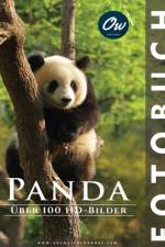 Panda af A Arelt