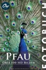 Pfau af A Arelt